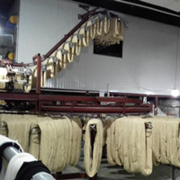 EDC Escalator type hank yarn dryer
